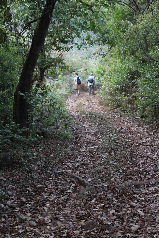 India 2010 - Coorg - Honey Valley - Trek to the Swimming Hole